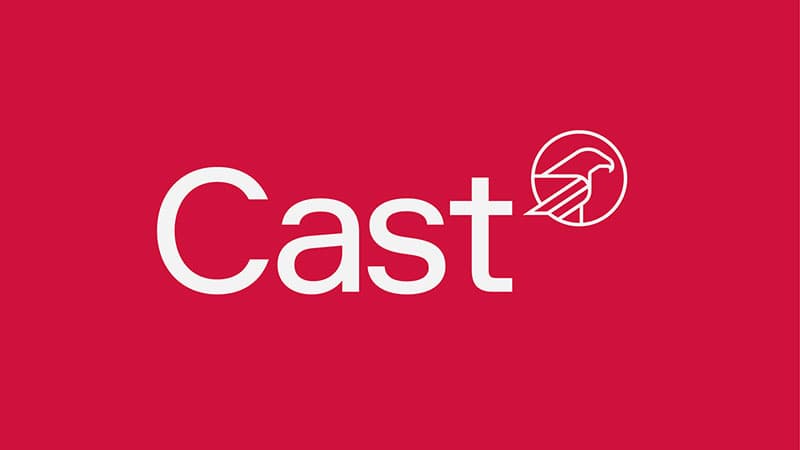 Cast's New Digital Offering | News & Insights | SED Digital